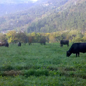 agriturismo-biobio.it-lombardy.com/